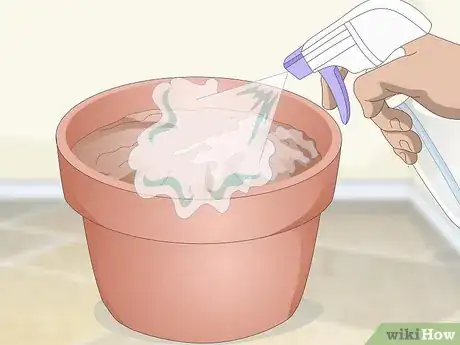 Imagen titulada Make a Grass Pot for Cats Step 3