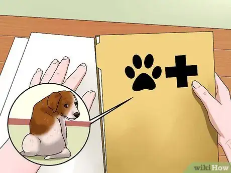 Imagen titulada Choose a Healthy Puppy Step 7