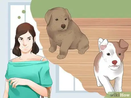 Imagen titulada Choose a Puppy Step 8