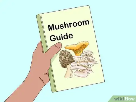 Imagen titulada Identify Edible Mushrooms Step 12