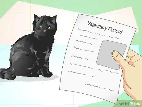 Imagen titulada Tell If a Cat Is Neutered Step 5