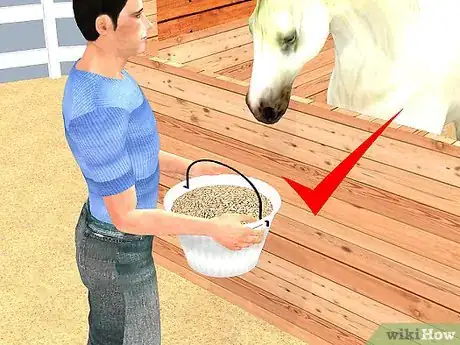Imagen titulada Look After a Horse Step 3
