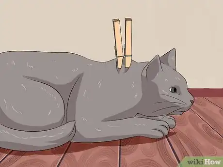 Imagen titulada Deactivate Your Cat Step 7