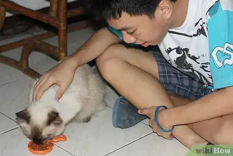 Imagen titulada Help a Sick Cat Step 3