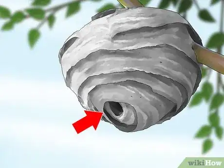 Imagen titulada Kill a Hornet Nest Step 9
