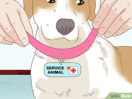 Imagen titulada License Your Dog Step 12