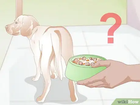 Imagen titulada Switch Dog Foods Gradually Step 11