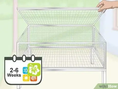 Imagen titulada Breed Quail Step 1