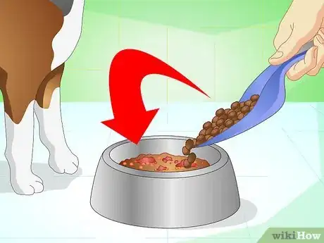Imagen titulada Get Your Dog to Eat the Dog Food It Does Not Like Step 1