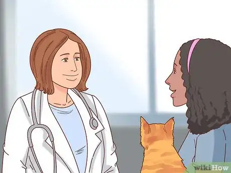 Imagen titulada Buy a Cat Step 5