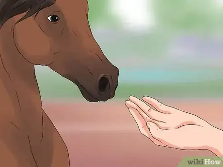 Imagen titulada Halter a Horse Step 5