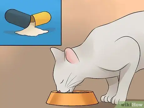 Imagen titulada Help Your Depressed Cat Step 15