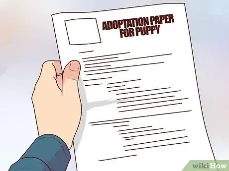 Imagen titulada Buy a Puppy Step 9