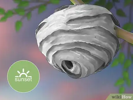 Imagen titulada Kill a Hornet Nest Step 3
