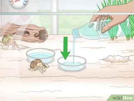 Imagen titulada Maintain Humidity in a Pet Hermit Crab Habitat Step 7