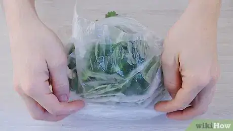 Imagen titulada Clean Cilantro Step 9