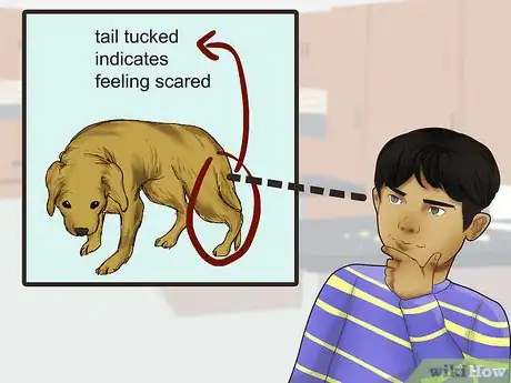 Imagen titulada Write an Animal Report Step 6