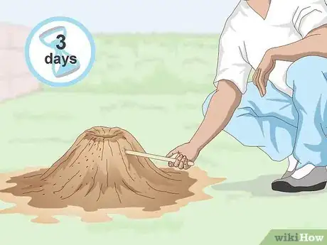 Imagen titulada Get Rid of an Ant Hill Step 2