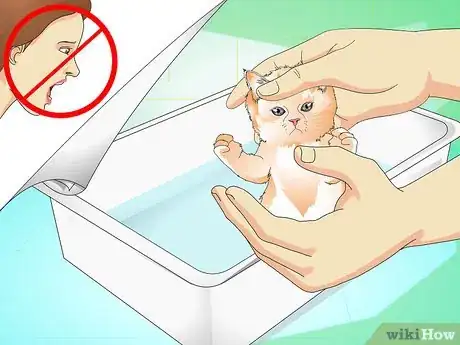 Imagen titulada Give a Kitten a Bath Step 6