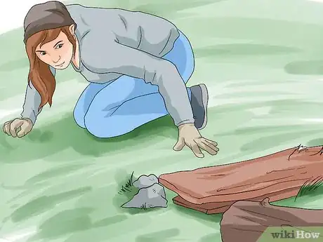 Imagen titulada Find a Snail Step 2