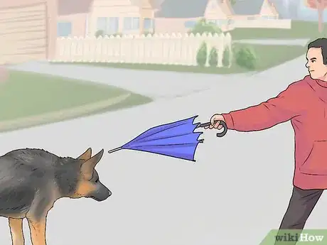 Imagen titulada Tell if a Dog Is Going to Attack Step 16