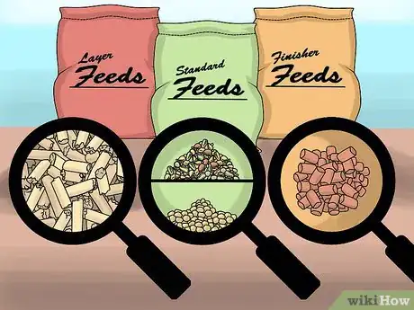 Imagen titulada Take Care of Chickens Step 17