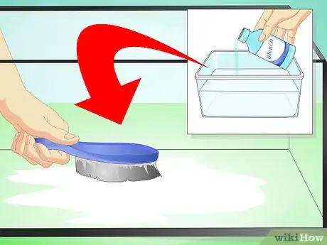 Imagen titulada Make a Millipede Habitat Step 7
