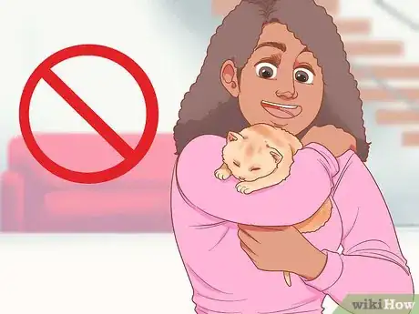 Imagen titulada Pick Up a Kitten Step 14