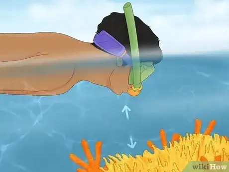 Imagen titulada Protect Coral Reefs Step 4