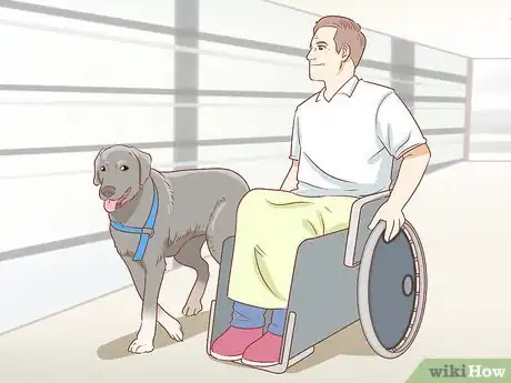 Imagen titulada License Your Dog Step 10