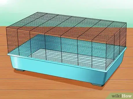Imagen titulada Get Hamsters to Stop Fighting Step 9
