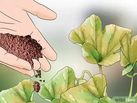 Imagen titulada Add Potassium to an Organic Garden Step 12