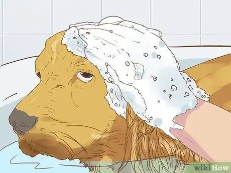 Imagen titulada Get Your House to Not Smell Like Your Pets Step 5