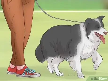 Imagen titulada Exercise a Mother Dog Step 1