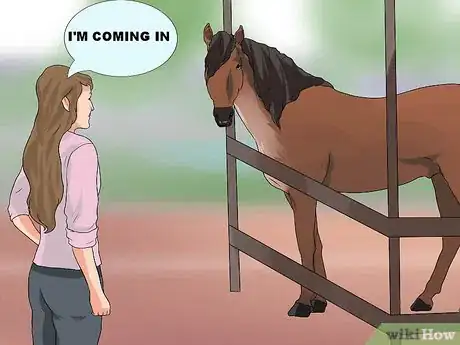 Imagen titulada Halter a Horse Step 2