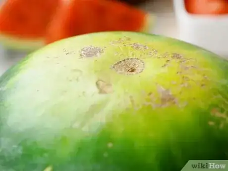 Imagen titulada Select a Watermelon Step 3