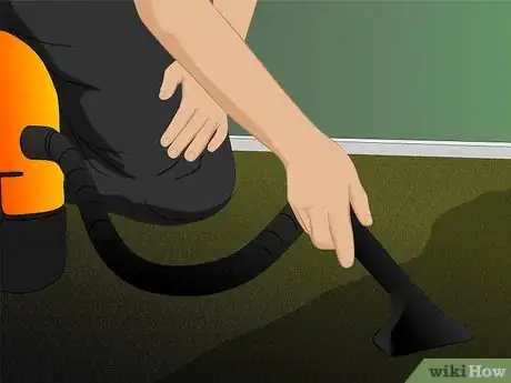 Imagen titulada Dry Wet Carpet Step 2