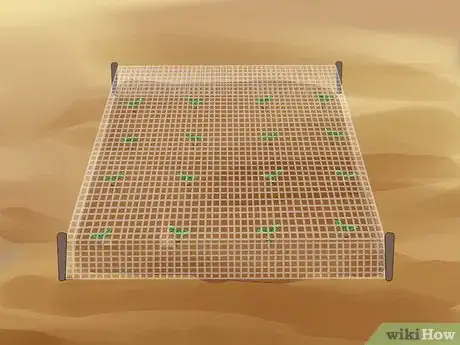 Imagen titulada Plant Apple Seeds Step 10
