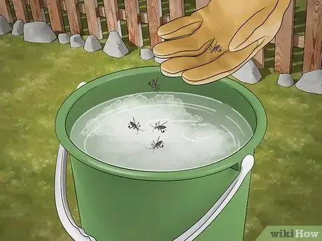 Imagen titulada Kill Leaf Footed Bugs Step 9
