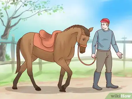 Imagen titulada Teach a Horse to Bow Step 1