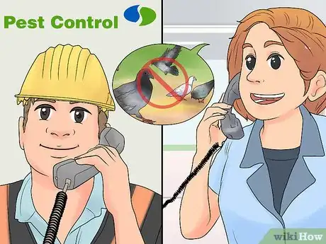 Imagen titulada Catch Pigeons Step 21