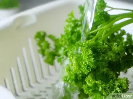 Imagen titulada Dry Parsley Step 1