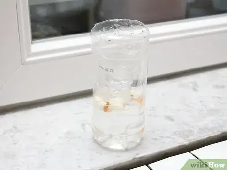 Imagen titulada Make a Fly Trap Step 9