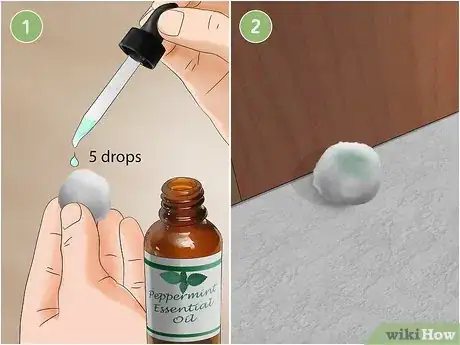 Imagen titulada Get Rid of Mice Fast Step 8
