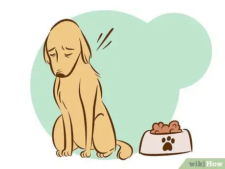Imagen titulada Recognize a Dying Dog Step 2