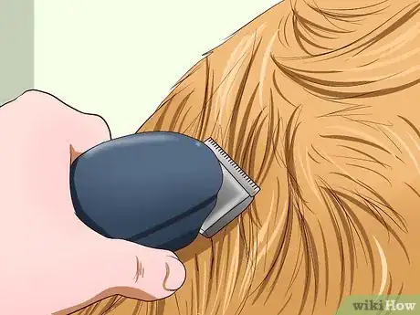 Imagen titulada Clean Your Cat When He Can't Do It Himself Step 10
