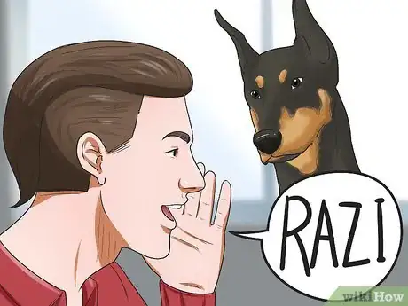 Imagen titulada Train a Doberman Pinscher Step 5