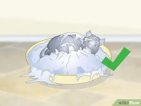 Imagen titulada Care for Chinchillas Step 18