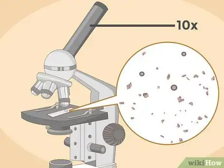 Imagen titulada Use a Microscope Step 15