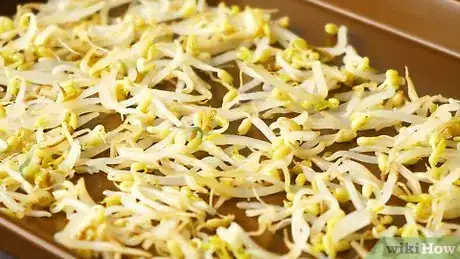 Imagen titulada Freeze Bean Sprouts Step 9